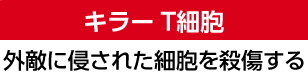 キラーT細胞 外敵に侵された細胞を殺傷する