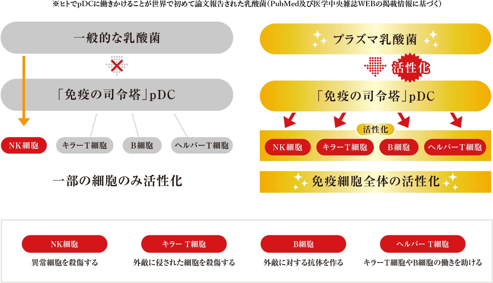 プラズマ乳酸菌とは プラズマ乳酸菌 スペシャルサイト キリン