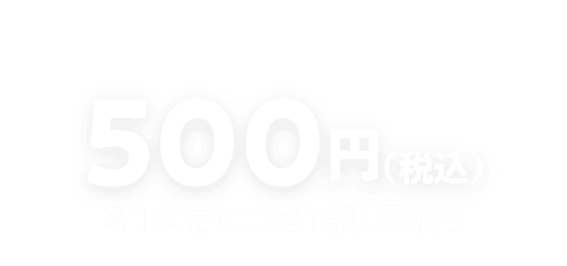 500円（税込）