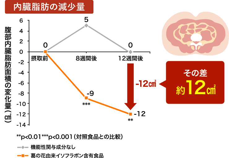 内臓脂肪の減少量