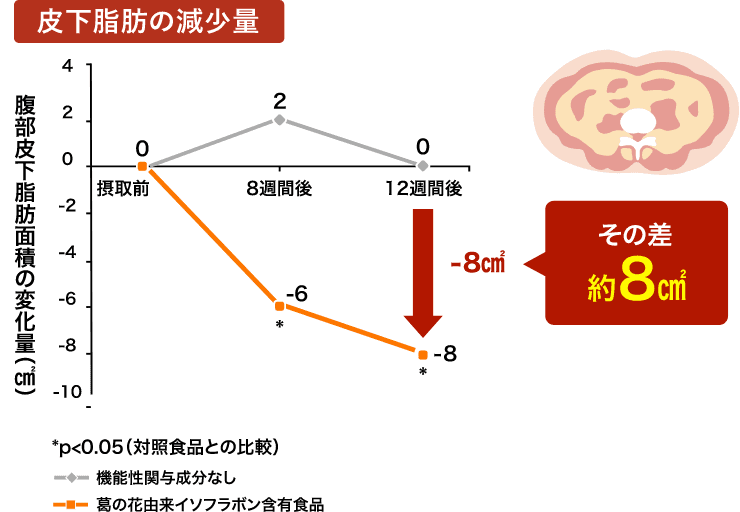 皮下脂肪の減少量