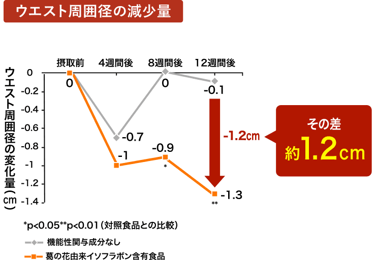 ウエスト周囲径の減少量