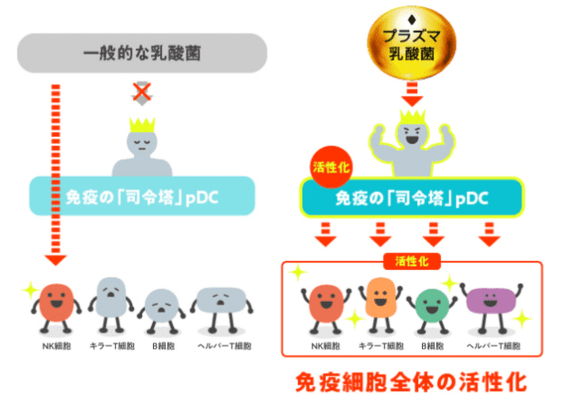 一般的な乳酸菌とのメカニズムの違い 図