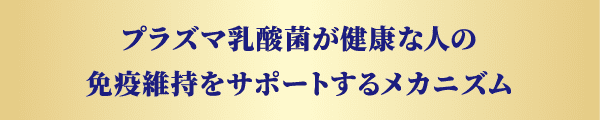 プラズマ乳酸菌が健康な人の免疫維持をサポートするメカニズム