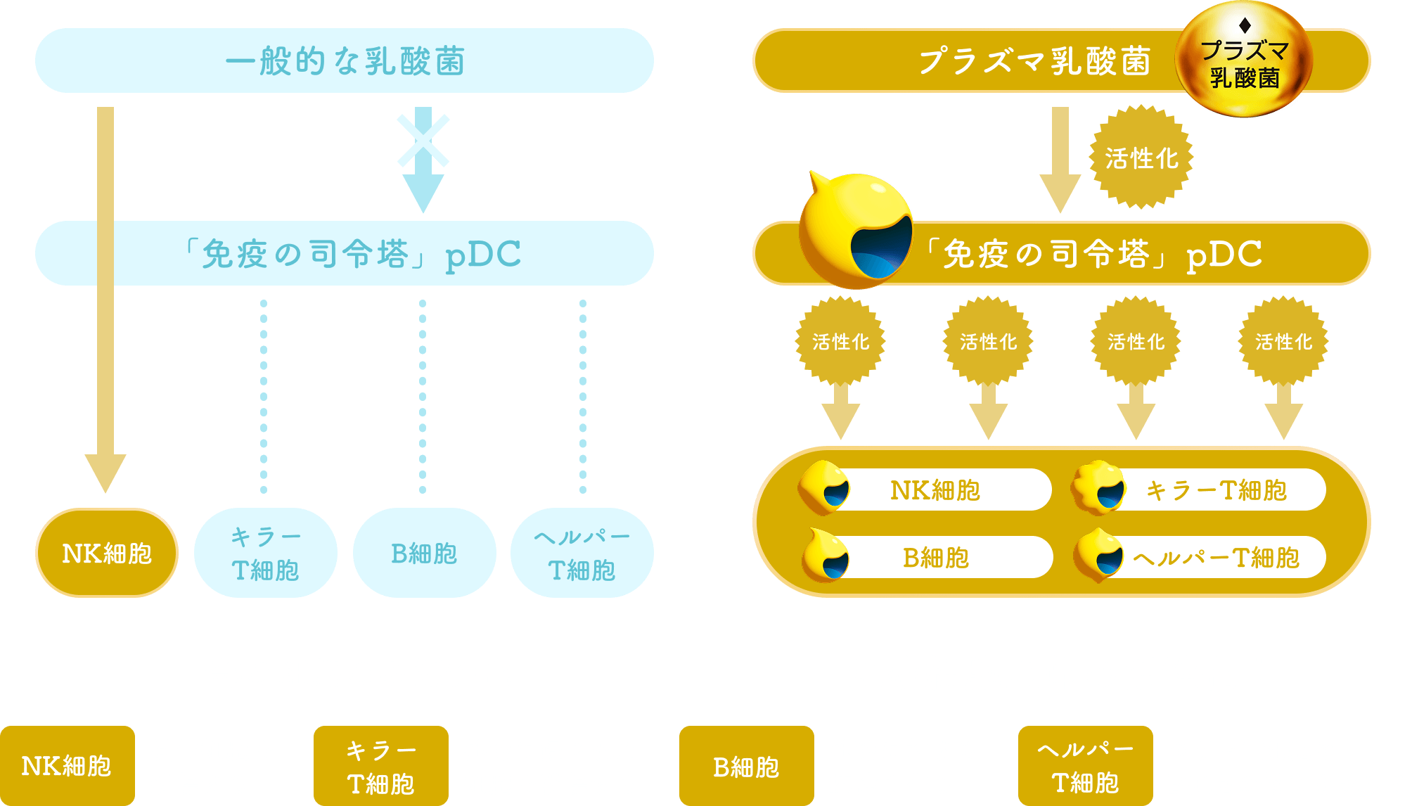 メカニズム内画像