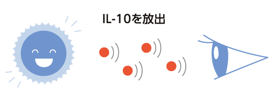 IL-10を放出