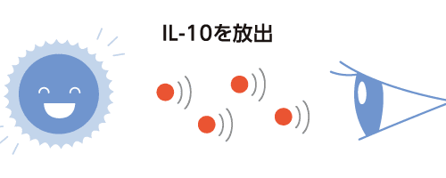 IL-10を放出