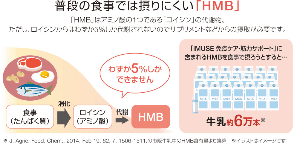 普段の食事では摂りにくい「HMB」「HMB」はアミノ酸の１つである「ロイシン」の代謝物。ただし、ロイシンからはわずか5%しか代謝されないのでサプリメントなどからの摂取が必要です。※J. Agric. Food. Chem., 2014, Feb 19, 62, 7, 1506-1511. の市販牛乳中のHMB含有量より換算 ※イラストはイメージです